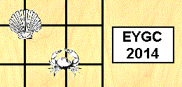 European Youth Go Championship