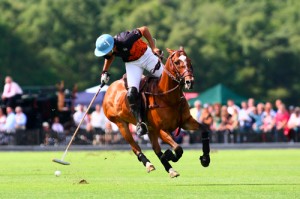 2014.09.16_PoloHorse