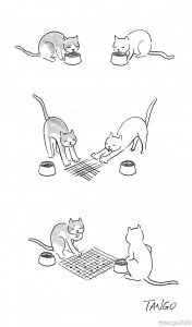 2014.11.17_cats-go
