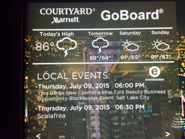 2015.07.21_Straus-go-board