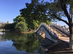IMG_0602