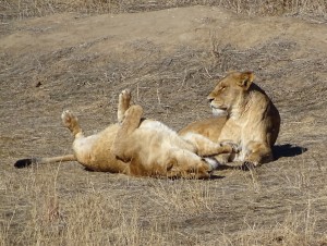 DSC00509
