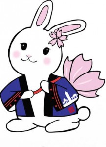 2019.04.07 DC Cherry Blossom