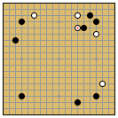 Playing Shusaku