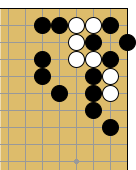 Looks Like Ko